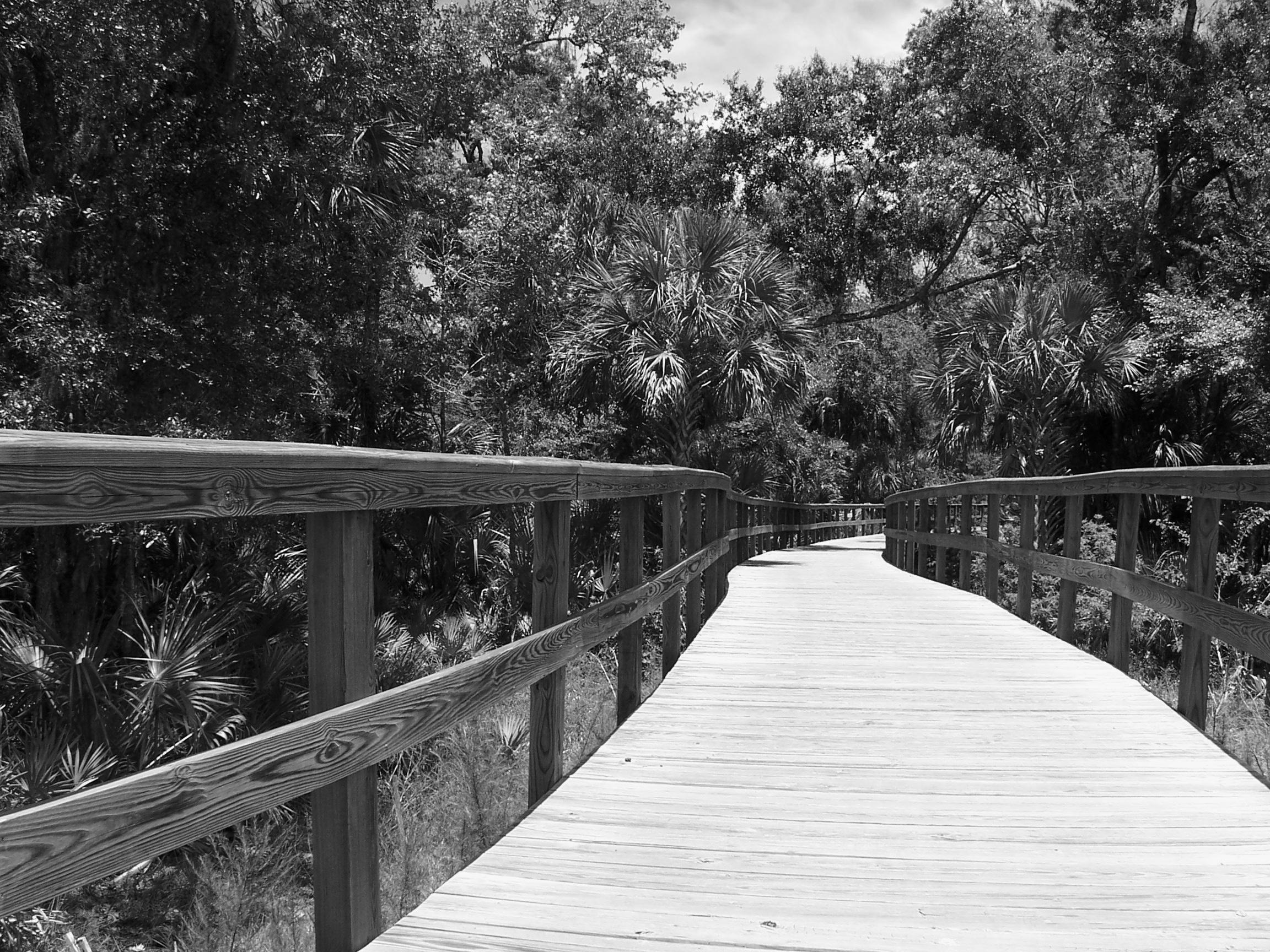 Business und Chance in Floridas Städten Tampa SalesTax.de Informationen und Hilfe rund um